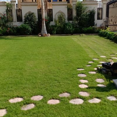 لاند سكيب تنسيق حدائق برجوله خشب شلالات عقود صيانة توريد و تركيب نجيلة طبيعية