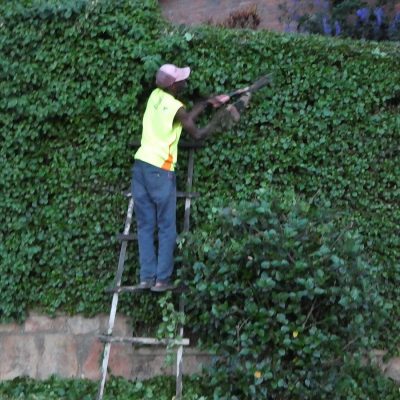 1200px-Hedge_trimmer,_Kigali