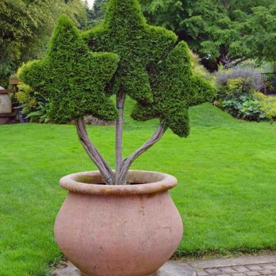 93d0d047f5b7e0b4860c5a3212d833a6