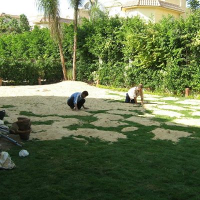 Garden creation steps