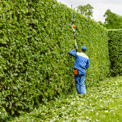 Villa-park-maintenance-ar11102020-1024x640