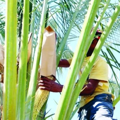 ???? ???? ?? ????? ?? ????? ?? ????? ?????? ??? ?????? ??????? ??????? ? ?? ??? ?????? ????? ????? ?????? ?????? 15-2014 ????? ???? ?????