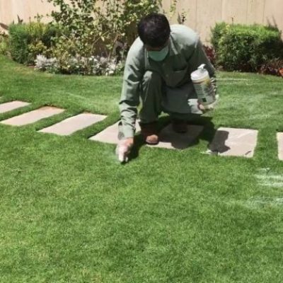 maxresdefault-9-500x383